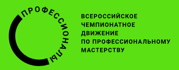 Профессионалы