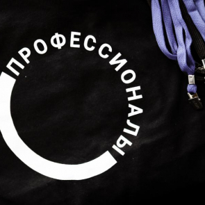 Старт Регионального этапа чемпионатного движения «Профессоналы»